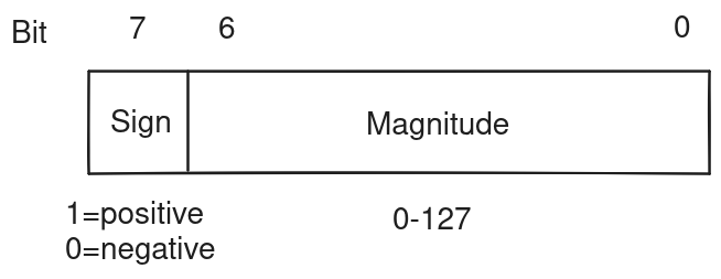 Sign Magnitude Format